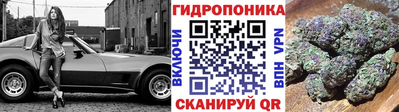 Купить наркотик аптеки Грозный А ПВП  Канабис  Кокаин 